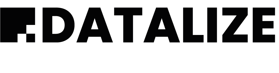 Datalize - Zakelijke diensten (B2B) in Den Haag